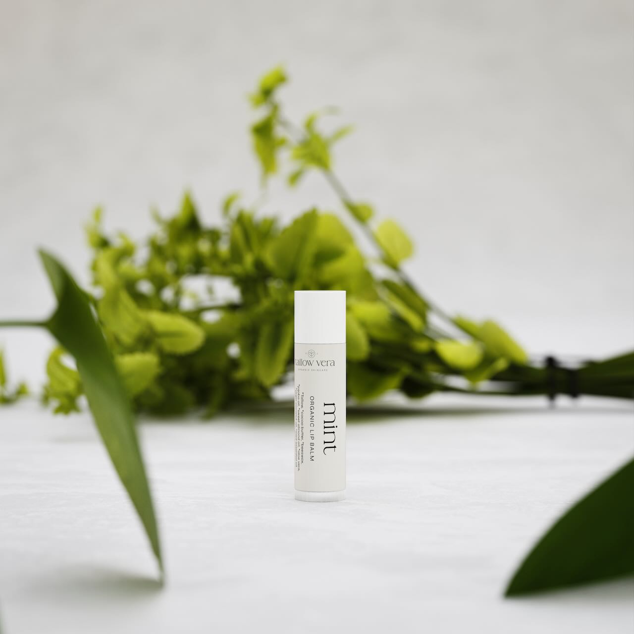 Tallow Vera's organic lavender tallow lip balm in front of green plant