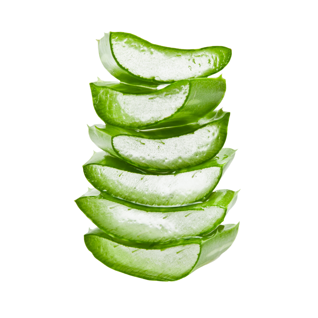 Aloe Vera slices